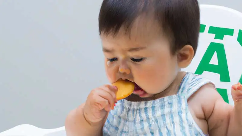Can A 1 Year Old Eat Junk Food