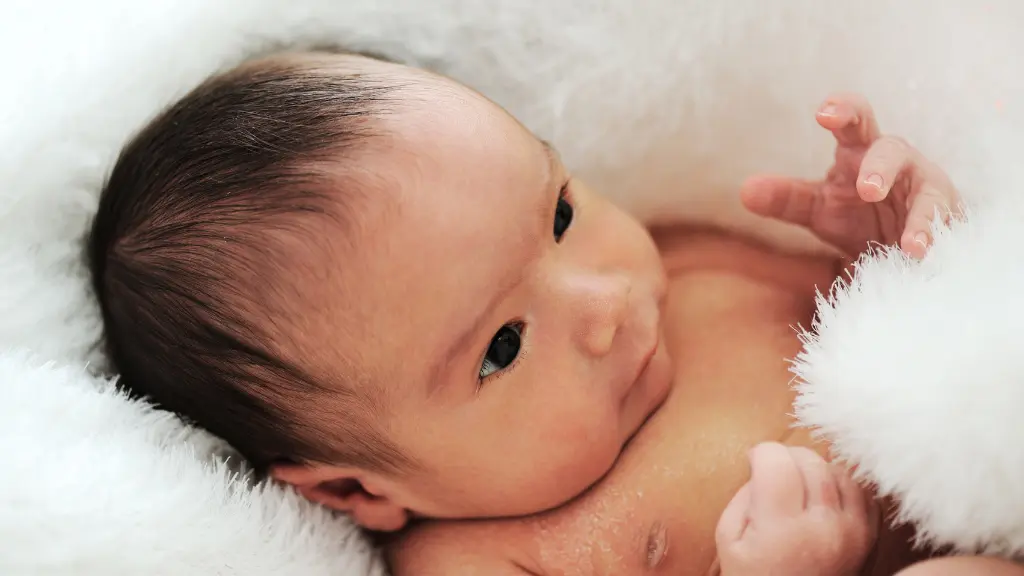 First Babies Arrive Late