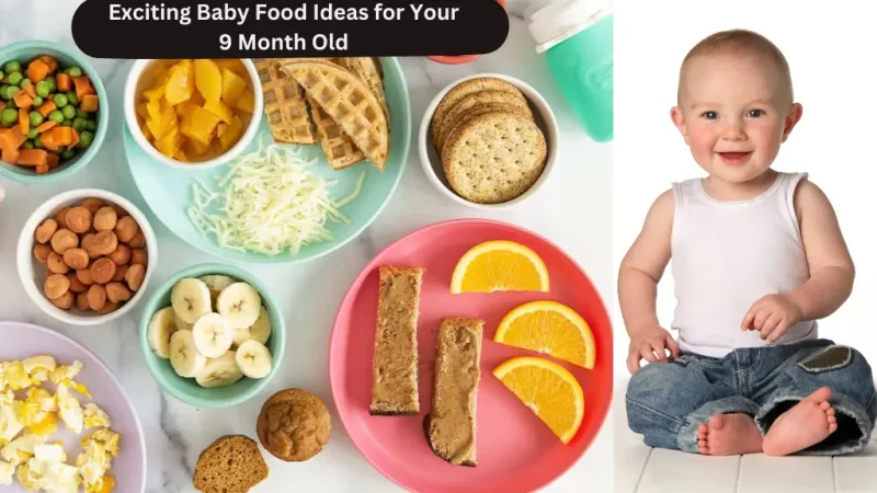 baby food ideas 9 months